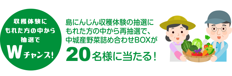 中城産野菜詰め合わせBOX20名様にプレゼント