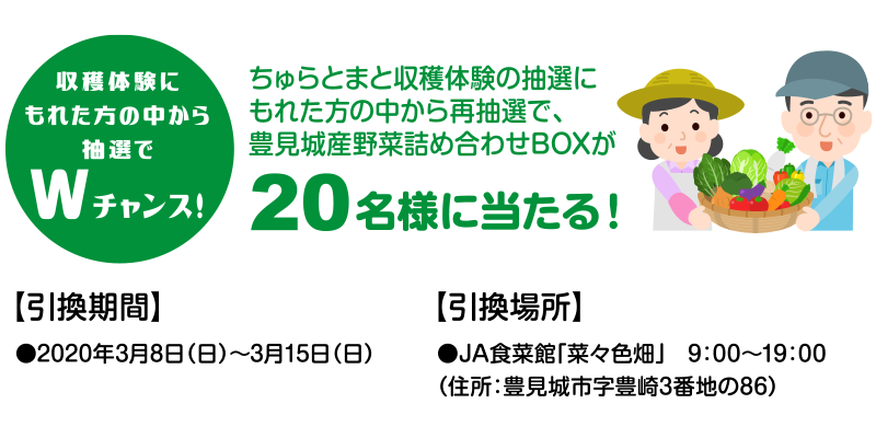 豊見城産野菜詰め合わせBOX20名様にプレゼント